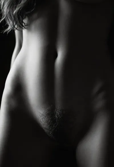Sam Haskins nude fragment, extreme close-up of female pubic mound with dense natural pubic hair, strong backlight creating glowing hair halo, stark chiaroscuro lighting, visible labia majora folds, textured skin details, grainy monochrome film, (Kodak Tri-X 400), 85mm lens, f/2.8, Hasselblad 500CM, 1960s erotic photography aesthetic, high contrast, abstract composition, dark studio background
