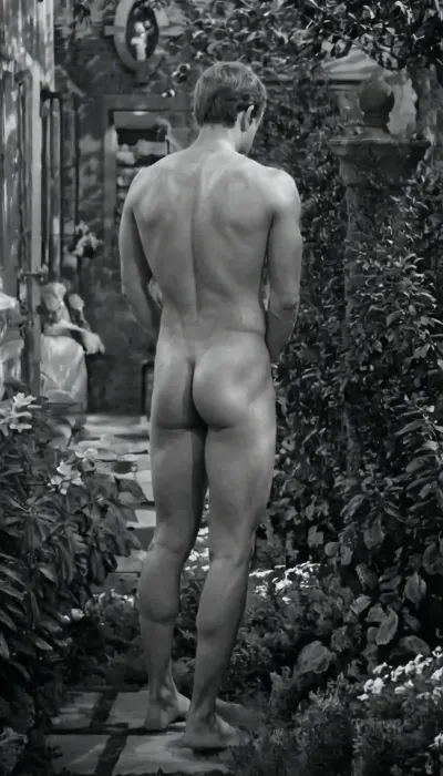 ((very dark and black background)), (((black background))), (greyscale photo), ((underexposed realistic photo)), a nude man, short dark hair, ((white t-shirt)), in a garden, full body, nude, youth, ((back)), no lights, night, GapingAssholesAllFourQuiron, spied, spread, naked ass, modelgrey, huge cock hanging between his legs, <lora:SpreadAssSDXL_v04:.1>, <lora:Dramatic_penis_SDXL:.2>, <lora:modelgrey-10:1.1>, <lora:255700_training_data:1.1>