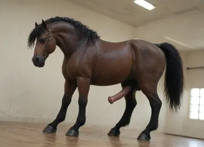 Large black shire stallion horse wide angle full body shot side on, large equine penis large horse cock erect horse hard dick, black fur, black horse